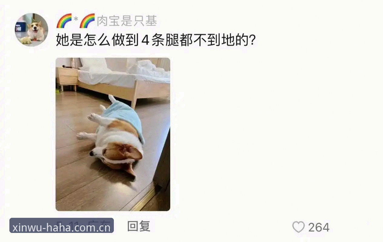 哈哈体育下载常见问题 2024最新动态:哈哈体育下载常见问题全解析,用户实操经验分享